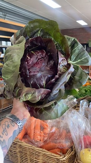 Holy moly that’s radicchio! Isn’t she a stunner! 🥬 😍 We have Radicchio, Endive, Cauliflower an abundance of fresh produce in today, fresh from Melbourne market & ready to be devoured #organicproduce #lettuce #localfarmers #notforprofit #supportlocal #bawbawfoodhub | Baw Baw Food Hub