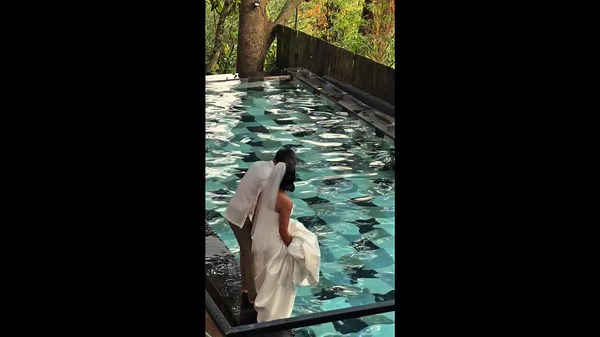 Newlyweds and guests leap into swimming pool fully-clothed
