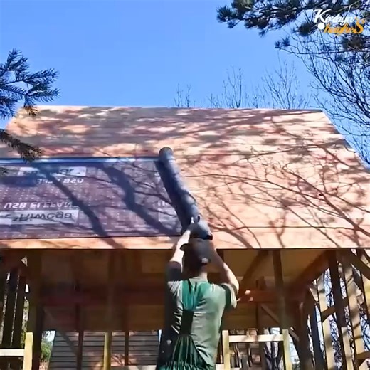 Timelapse tiny off grid cabin built in 5 minutes by a young couple | Dungannon Thomas Clarkes