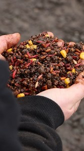 21K views · 288 reactions |  CAL’S WINTER SPOD MIX SECRETS! ❄️...