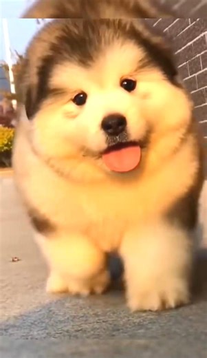 #facebookrealscontest #facebook #facebookreals #funny #fun | Models For You