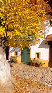 4.6K views · 400 reactions |  A venit… Toamna in Rimetea, Alba • • • • • #raideromania #romania #ig_romania #calatorii #travel #travelphotography #travelgram #traveltheworld #romaniafrumoasa #visitromania #nature #rimetea | Visit Romania | Facebook