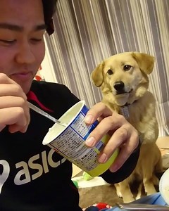 2.2K views · 102 reactions |  [Credit: @beachan11] | Sortra | Facebook