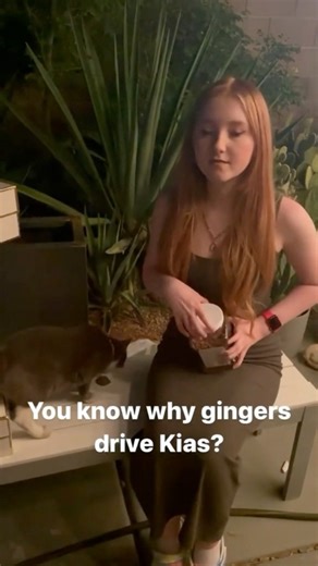 Today is World Red Head Day 😁 and what better way to celebrate than with a video with two gingers Cam and Wayne. I know you have never seen my wife (someday you will) but I am the ginger in the family and the reason Cam has red hair and no soul 😝 #dadjokes #worldredheadday #heycam | Wayne Butler