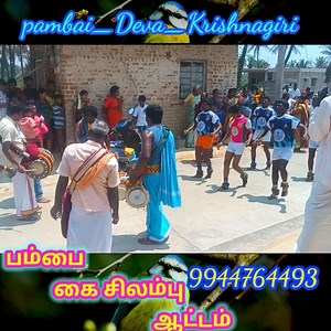 2.3K views · 98 reactions | Pambai isai video | Pambai Pambai | Facebook