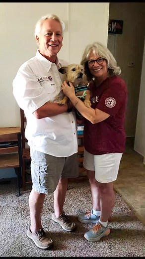 Adoption Tails #adoptdontshop | CAMO Rescue