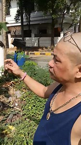 31K views · 697 reactions | presh na manga gulay sa garden salamat ate beth | Erika Embang | Facebook