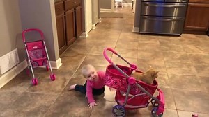 18K views · 3.1K reactions | The Cat Named Carrot on Reels | Facebook