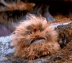 2K views · 30 reactions | A person walks into the library and asks the librarian for books on paranoia. They whisper back, "They are right behind you!" #libraryjoke | Orange County Library System (FL) | Facebook