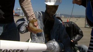 Mythbusters - Complete Season 5