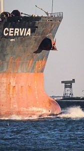 22 reactions | Fort Monroe Virginia Outlook Beach #ship #vessel | Richard LeBel | Facebook