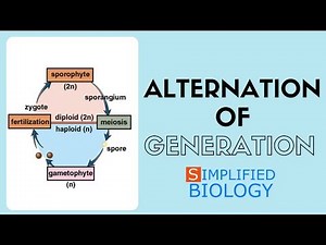 Alternation of Generation for NEET, JIPMER, AIIMS, AIPMT