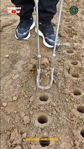 Vegetable Planting Hole Digger Tool
