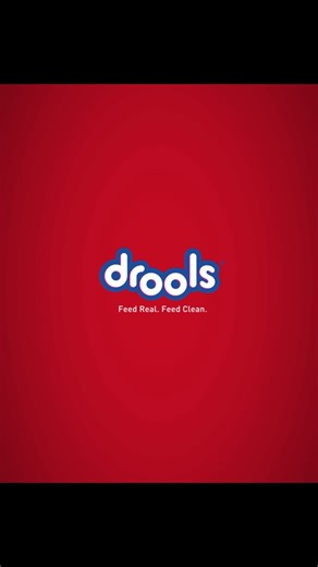 1K views · 29 reactions | The Drools Wet Gravy isn’t just tasty, it’s tail-waggingly good. Here’s why dogs (and their humans) love it: •⁠ ⁠Bursting with flavour = bowls licked clean •⁠ ⁠Nutrients that support strong bones & joints •⁠ ⁠Promotes healthy skin and a shiny coat •⁠ ⁠Real chicken & chicken liver chunks = 10x the taste, 10x the love. #DroolsWetGravy #GoneInOneLick #ObsessedWithDrools #10XtheTaste10XtheLove | Drools | Facebook