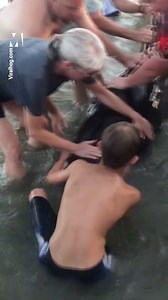 This is the incredible moment beachgoers came together to save over 30 whales who washed up on a beach in Georgia 👏👏👏👏 | Metro