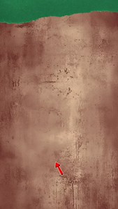 The O'Reillys and the Paddyhats on Reels