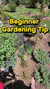 Divide Perennials: Essential Beginner Gardening Tip