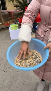 7.7K views · 89 reactions | 600kg/hour rice milling machine with destoning function | Mini Rice Mill Machine | Facebook