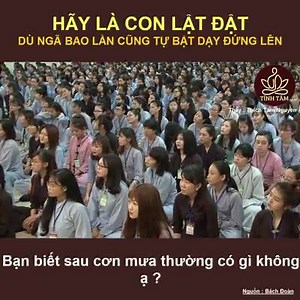 1.4M views · 10K reactions | ...không lang thang sao biết gió mưa nhiều | Thích Tâm Nguyên | Facebook