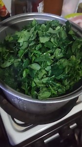 Gusto mo hindi sakitin alaga mo maganda ung katawan at coat damihan mo malunggay🥰❤️ Lutuan mo masarap bigyan mo ng time alaga mo na lutuan sila hindi puro dogfood at kanin lang. Much better bigyan mo rin raw meat🥰 | Iskonatics