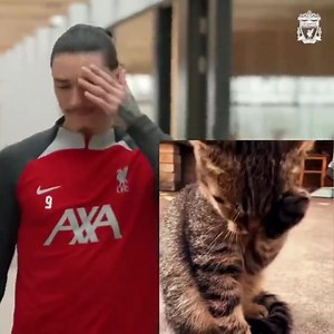 😁😁😁 | Insolite-Football