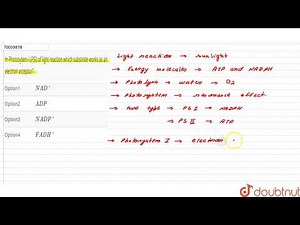 In Photosytem-I (PSI) of light reaction which substrate works as an electron acceptor?