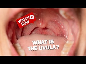 Everything You Need to Know About the Uvula