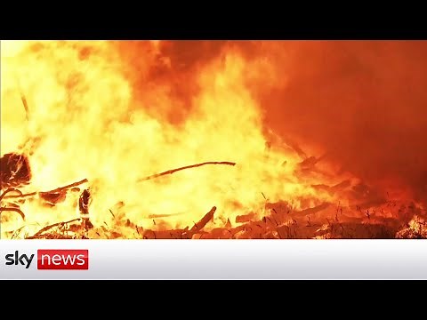 Firefighters battle blaze in Yosemite National Park