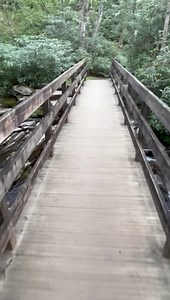 4.5K views · 695 reactions | Smoky Mountain hike….. | Richard Bernabe Photography | Facebook