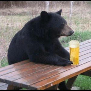 Mista_Robear - Twitch