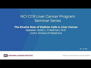 The Elusive Role of Stellate Cells in Liver Cancer