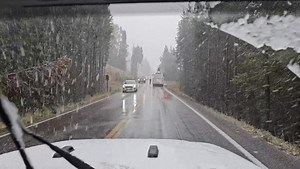 Snowing on Dunraven pass and Mount Washburn- Carolyn | Heart of the Wild Yellowstone