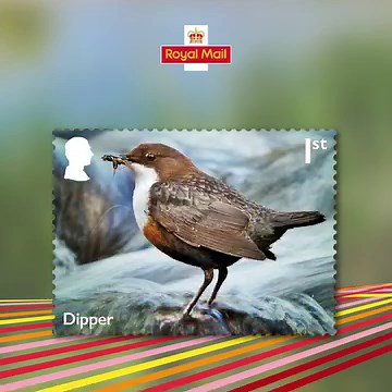 In case you missed them, our River Wildlife stamps were released earlier today. Order yours here 👉 http://ms.spr.ly/6185gFrZx | Royal Mail Stamps & Collectibles