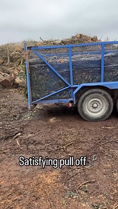 1.8K views · 4.1K reactions | Watch the tree brush effortlessly slide off the trailer — pure satisfaction!  #Satisfying #TreeBrush #trailerunloading #houstontx #treeservice #treeremoval #treework #viral #treeprofessionals #treepruning #treephotography #clearlakecitytx #friendwoodtx #leaguecitytexas | J & B Services | Facebook