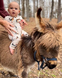 Our little Princess is finally home! 💕 | Plant Based Gabriel