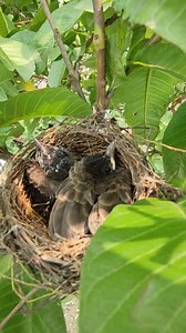 3.4K views · 37 reactions |  | KBT Travel | Facebook