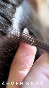 2.4M views · 4.6K reactions | Las nuevas técnicas de Extensiones de cabello Aprende con 4EVER SEXY #reelsviralシfb #pontebonitacon4eversexy #foryoupageシ #glamour #hairextensions #4eversexy #mujeres #hair #cabellosaludable #reelsviralシfb #foryoupageシ | 4Ever Sexy | Facebook