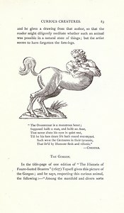 Onocentaur - Alchetron, The Free Social Encyclopedia