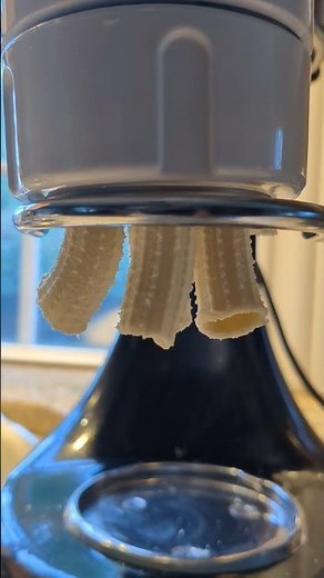 KitchenAid Pasta Press (Extruder) demo