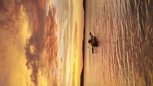 Two Rowers On Inflatable Kayak Rise Stock Footage Video (100% Royalty-free) 1097509287 | Shutterstock