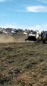 13K views · 202 reactions | 藍藍 | Motocross Updates | Facebook