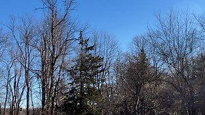 5.4K views · 387 reactions | OFF HE GOES!!! One of the FEW survivors from rodenticide poisoning. This adult male Red shouldered hawk is free and home. Good luck and stay away from toxic prey... | A Place Called Hope | Facebook