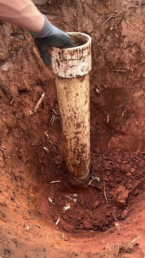 Roots Damaging Main Sewer Line: Repair & Prevention Guide