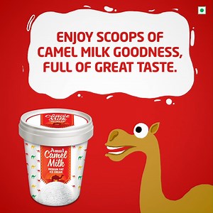 Treat yourself to the great taste of Camel Milk in Amul's medium-fat Camel Milk ice cream.#amul #camel #milk #icecream | Amul Icecream