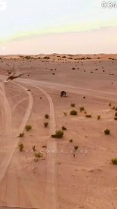 155K views · 1.7K reactions | Most amazing fight see saker falcon vs bustard #amazing #moments | Pakistani falcons | Facebook