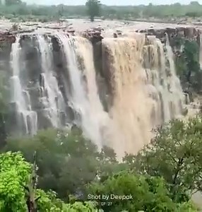 Watch Video: Such a joy it is to see a beautiful waterfall flow during the monsoon. 😍😍 The amazing Bhimlat waterfall in Bundi is at its best during the monsoon season, and is a sight to behold. Video Credits - Ashish Jain | Beautiful Jaipur