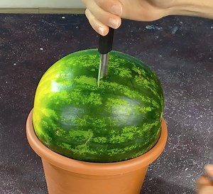 Handy gardening technique you need to try | Green Bean