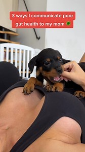 1.6K reactions · 8 comments | If your dog deals with occasional itching, paw licking or head shaking - you have to try this probiotic chew backed by a clinical study  | PetLab Co. | Facebook