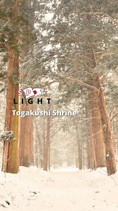 1.6K views · 43 reactions | With your Japan Rail Pass, embark on a...