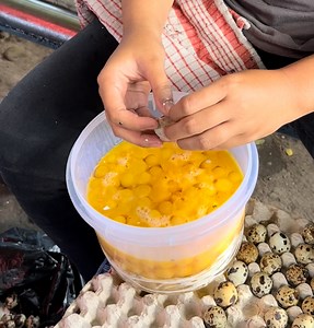 Telor Puyuh Congkel | Evan Media